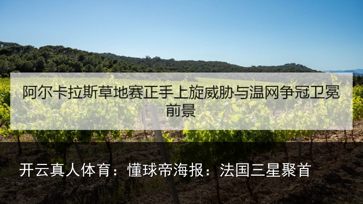 开云真人体育：懂球相关情况首