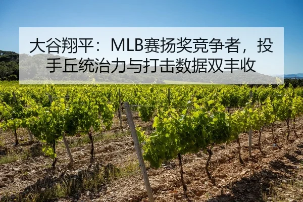大谷翔平：MLB赛扬奖竞争者，投手丘统治力与打击数据双丰收