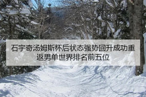 石宇奇汤姆斯杯后状态强势回升成功重返男单世界排名前五位