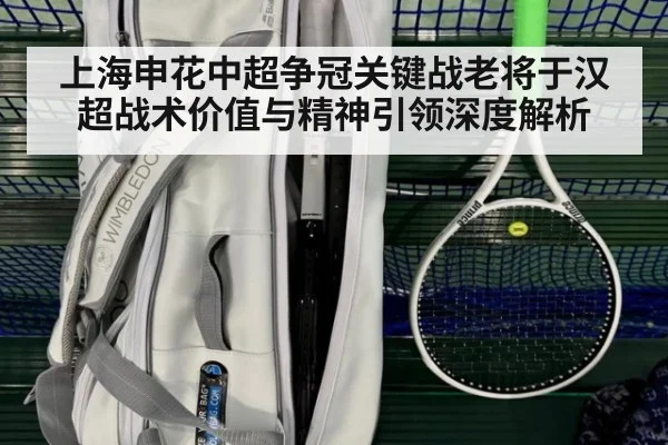 上海申花中超争冠关键战老将于汉超战术价值与精神引领深度解析